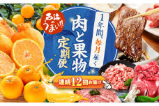 【12回定期便】お肉と果物～見つけた！西海の宝物定期便～[CZZ019] 長崎県 西海市 長崎和牛 サーロイン さーろいん ステーキ SPF豚 ブランド豚 みかん ミカン 定期便