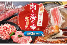 【3回定期便】 お肉 と 海の幸 ～見つけた！西海の宝物 定期便 ～ [CZZ020] 長崎 西海 豚肉 和牛 国産豚 こま切れ サーロイン ステーキ 鰻 うなぎ 定期便