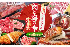 【6回定期便】お肉と海の幸～見つけた！西海の宝物定期便～[CZZ021] 西海市 定期便 月替わり 長崎和牛 サーロイン さーろいん ステーキ 鰻 うなぎ 