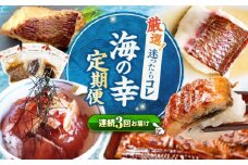【3回定期便】 海の幸 ～見つけた！西海の 宝物 定期便 ～ [CZZ026] 長崎 西海 魚 海の幸 海鮮 加工品 うなぎ 海鮮丼 贈答 ギフト