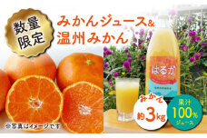 【先行予約】 温州 みかん 3kg＆果汁100％ストレート ジュース 1本 みかん ミカン 柑橘 西海みかん 温州みかん 贈答 ギフト みかん ジュース  ＜Da・IWASAKI　FARM＞ [CCZ003]