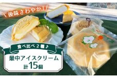 【歴史を感じる】最中アイスクリーム 2種 計15個 ＜アイスクリーム木場＞ [CFM001]