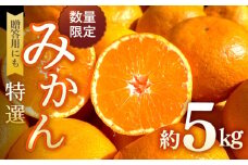 【数量限定】【贈答にも】特選みかん 約5kg ＜大地のいのち＞ [CDA060]