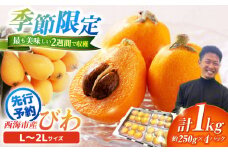 びわ 【先行予約】 西海市産 びわ 約1kg L～2Lサイズ ＜パッパラパー農園＞ [CFI002] 西海市産 びわ ビワ 琵琶 果物 フルーツ 果実 
