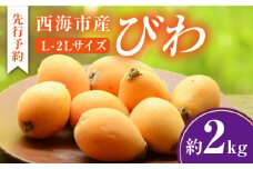 【数量限定】【先行予約】 びわ 琵琶 西海市産 約2kg L～2Lサイズ＜パッパラパー農園＞ [CFI003]