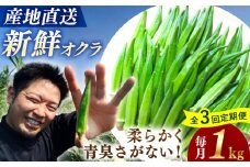 【3回定期便】【先行予約】 オクラ 約1kg ＜パッパラパー農園＞ [CFI005]