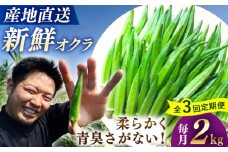【3回定期便】【先行予約】 オクラ 約2kg おくら 夏野菜 野菜 オクラ やさい 新鮮 ＜パッパラパー農園＞ [CFI006]