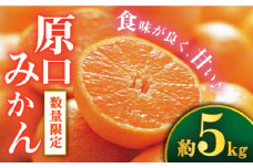 【11月下旬より発送開始】 原口 みかん 約5kg  ＜Da・IWASAKI FARM＞ [CCZ004]  ミカン 柑橘 原口みかん 早生みかん 贈答 ギフト みかん 
