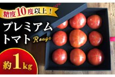 【先行予約】トマト ミスズプレミアム トマト 「ルージュ」約 1kg （9個） 西海市産 トマト とまと 野菜 新鮮 旬 ＜株式会社ミスズアグリ西海＞ [CFN001]