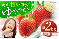 いちご【先行予約】 ゆめのか いちご 計2kg（250g×8パック） ＜川原農園＞ [CDR010] 長崎 西海 イチゴ いちご 苺 ゆめのか いちご イチゴ 