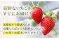 いちご 2kg
