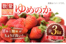 【☆先行予約☆】【数量限定】 ゆめのか いちご 約3kg（250g×12パック） 長崎 西海 イチゴ いちご 苺 ゆめのか いちご  ＜川原農園＞ [CDR011]