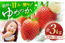 【先行予約】 ゆめのか いちご 計3kg（250g×12パック)  ＜川原農園＞ [CDR011]  長崎 西海 イチゴ いちご 苺 ゆめのか いちご 