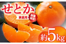 【☆先行予約☆】 ご家庭用 せとか 約 5kg ＜広津農園＞ [CBN013] 長崎 西海 みかん ミカン 蜜柑 柑橘 せとか 家庭用 訳あり 5kg