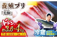 ブリ「光鰤」 皮付き 1本 約3.6～4kg＜小山水産＞ [CDZ006]  西海市産 魚 ブロック 刺身 ブリ ぶり ブリしゃぶ 