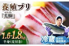 ブリ ぶり 皮付き 光鰤 下処理済み 半身 約1.6～1.8kg＜小山水産＞ [CDZ005]] 西海市産 魚 ブロック 刺身 ブリ 刺身 ぶり ブリしゃぶ 鰤 ブリ 日時指定 下処理済み 高評価 人気 高レビュー