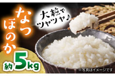 【数量限定】 なつほのか 約5kg ＜村山金定＞ [CFP001]