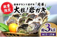 【日時指定】【数量限定】牡蠣 岩ガキ 約3kg（約15個～25個）便利なナイフ・軍手付き♪  ＜ハマフジ水産＞ [CES009] 牡蠣 カキ かき 生牡蠣 岩牡蠣 ナイフ付き 殻付き牡蠣 かき カキ 