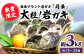 牡蠣 岩ガキ 約3kg（約15個～25個）便利なナイフ・軍手付き♪  ＜ハマフジ水産＞