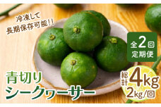 【全2回定期便】【TVで話題！】 青切り シークワーサー 約2kg×2回（計4kg）＜広津農園＞ [CBN016]