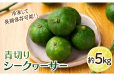 【TVで話題！】【先行予約】 青切り シークワーサー 約5kg＜広津農園＞ [CBN015] ノビレチン 原液 効能 レシピ ジュース 通販 旬 青切り レモン 柑橘