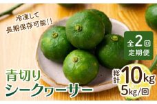 【全2回定期便】【TVで話題！】【先行予約】 青切り シークワーサー 約5kg×2回（計10kg）＜広津農園＞ [CBN017]