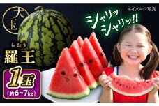 スイカ 羅王 1玉（約6kg～7kg）【☆先行予約☆】  果物 くだもの フルーツ すいか スイカ 西瓜 大玉 長崎県産 西海市産 ＜ファームまるだ＞ [CDT007]