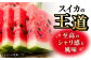 スイカ 羅王 1玉