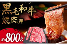 【お肉本来の旨味が溢れる！】 長崎県産 黒毛和牛 焼肉用  約800g ＜牛の店みくりや＞ [CFD014]