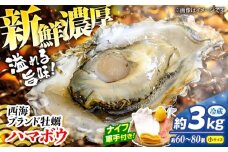 【先行予約】【2026年2月よりお届け】【着日指定可】 西海ブランド 牡蠣 「 ハマボウ 」 約3kg（60～80個）（小サイズ） 便利なナイフ・軍手付き♪ ＜ハマフジ水産＞ [CES010] 牡蠣 カキ かき 生牡蠣 真牡蠣 ナイフ付き 殻付き 牡蠣 かき カキ