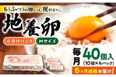 【6回定期便】最高級 卵 地養卵 Mサイズ 40個×6回定期便 長崎県産 西海市 たまご 卵 玉子 タマゴ 鶏卵 オムレツ 卵かけご飯 朝食 料理 人気 卵焼き＜垣山養鶏園＞ [CBB019]