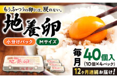 【12回定期便】最高級 卵 地養卵 Mサイズ 40個×12回定期 長崎県産 西海市 たまご 卵 玉子 タマゴ 鶏卵 オムレツ 卵かけご飯 朝食 料理 人気 卵焼き＜垣山養鶏園＞ [CBB020]