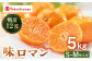 みかん ミカン 高島屋
