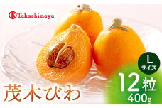 びわ ビワ 【高島屋選定品】【3月中旬より順次発送】 茂木 びわ 計400g（ Lサイズ 12粒入）＜高島屋＞ [CFQ060] びわ ビワ 琵琶 贈答 果物 フルーツ ビワ びわ 