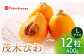 びわ ビワ 高島屋