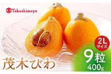 びわ ビワ 【高島屋選定品】【3月中旬より順次発送】 茂木 びわ 計400g（ 2Lサイズ 9粒入）  ＜高島屋＞ [CFQ061] びわ ビワ 琵琶 贈答 果物 フルーツ ビワ びわ 高島屋