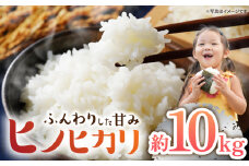 【数量限定】【 令和5年産 新米 】ヒノヒカリ約10kg ＜村山金定＞ [CFP004]