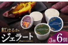 ジェラート さつまいも 紅はるか プレミアム ジェラート 6個セット ジェラート アイス 焼いも サツマイモ 紅はるか じぇらーと アイスクリーム 贈答 ギフト プレゼント ジェラート ＜大地のいのち＞ [CDA061]