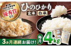 【 新米先行予約 】2025年10月より順次発送 【3回定期便】ひのひかり 白米 ＆ 玄米 計4kg（各2kg）×3回定期便ハマソウファーム＞ [CBR030] 長崎 西海 米 玄米 白米 ヒノヒカリ ひのひかり 米 玄米 白米