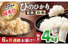 【6回定期便】 ひのひかり 白米 ＆ 玄米 計4kg（各2kg）×6回定期便＜ハマソウファーム＞ [CBR031] 長崎 西海 米 玄米 白米 ヒノヒカリ ひのひかり 米 玄米 白米