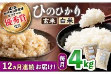 【12回定期便】 ひのひかり 白米 ＆ 玄米 計4kg（各2kg）×12回定期便＜ハマソウファーム＞ [CBR032] 長崎 西海 米 玄米 白米 ヒノヒカリ ひのひかり 米 玄米 白米