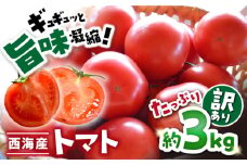 【先行予約】【 訳あり 】 トマト 西海市産 3kg トマト とまと 西海市 野菜 新鮮 旬 期間限定トマト ＜株式会社ミスズアグリ西海＞ [CFN003]