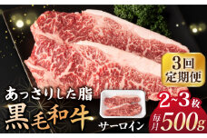 【3回定期便】 サーロイン ステーキ 長崎県産黒毛和牛 500g（2～3枚）  和牛 牛 牛肉 サーロイン ステーキ 牛ステーキ ＜宮本畜産＞ [CFA031]