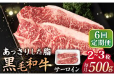 【6回定期便】 サーロイン ステーキ  長崎県産黒毛和牛  500g（2～3枚） 和牛 牛 牛肉 サーロイン ステーキ 牛ステーキ  ＜宮本畜産＞ [CFA032]