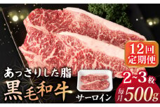 【12回定期便】 サーロイン ステーキ  長崎県産黒毛和牛  500g（2～3枚） 和牛 牛 牛肉 サーロイン ステーキ 牛ステーキ  ＜宮本畜産＞ [CFA033]