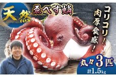 天然 タコ ボイル済み ゑべす蛸 3匹（計1.5kg） 西海市 海鮮 海の幸 天然 タコ 蛸 たこ 冷凍 ＜大瀬戸町漁協＞ [CAR007]