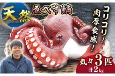 天然 タコ ボイル済み ゑべす蛸 3匹（計2kg）  西海市 海鮮 海の幸 天然 タコ 蛸 たこ 冷凍 ＜大瀬戸町漁協＞ [CAR008]