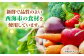 ドレッシング 野菜 新鮮 無添加 セット 贈答 ギフト