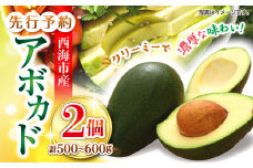 アボカド 【☆先行予約☆】 西海市産 アボカド 2個（計500～600g） 長崎 西海 アボカド あぼかど 野菜 アボカド ＜原口果樹園＞ [CCW011]