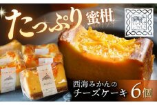 チーズケーキ 西海みかん の チーズケーキ 6個＜自然と暮らす ぐりーん＞ [CEM007] スイーツ お菓子 ケーキ チーズケーキ みかん 西海みかん ケーキ 贈り物 贈答 おしゃれ ケーキ みかん 